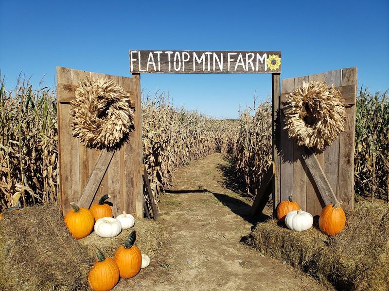 Flat Top Mountain Farm, Fall Festival