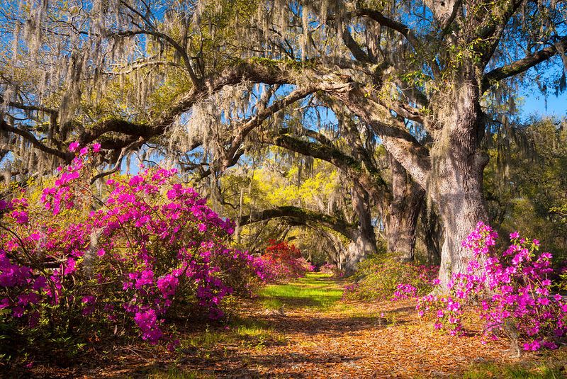 When to Visit: Timing Your Peaceful Escape