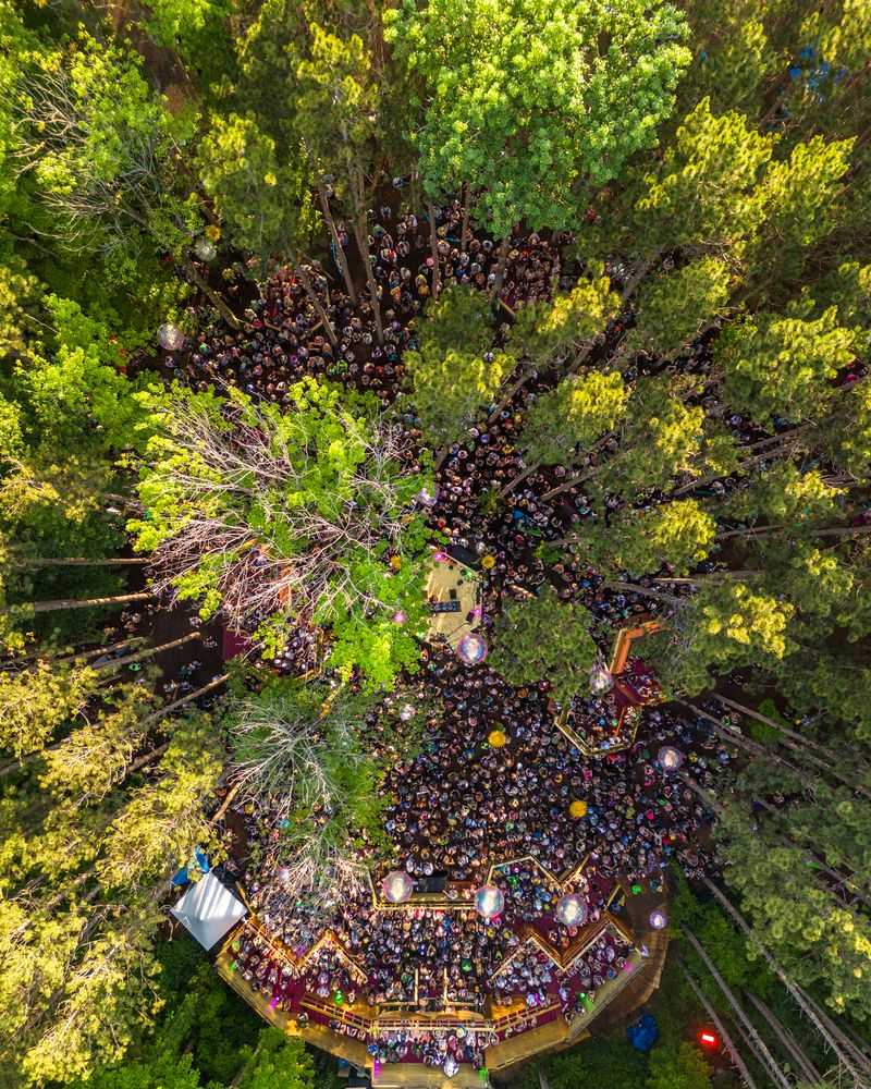 Electric Forest, Rothbury