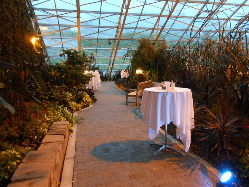 A Cozy Pivot: Foellinger-Freimann Botanical Conservatory