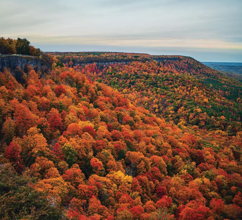 Catskill Forest Preserve