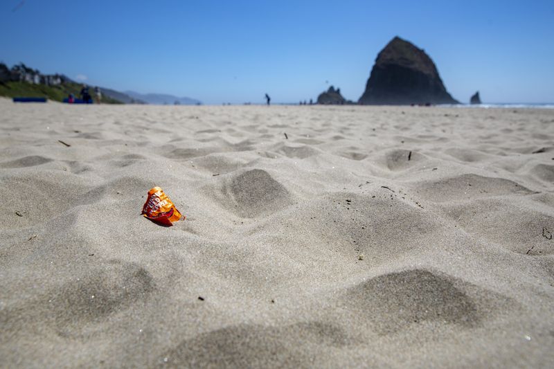 Leaving Trash or Taking Tidepool Souvenirs
