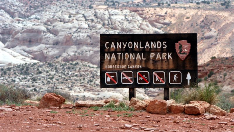 Lessons from trespass cases beyond the border