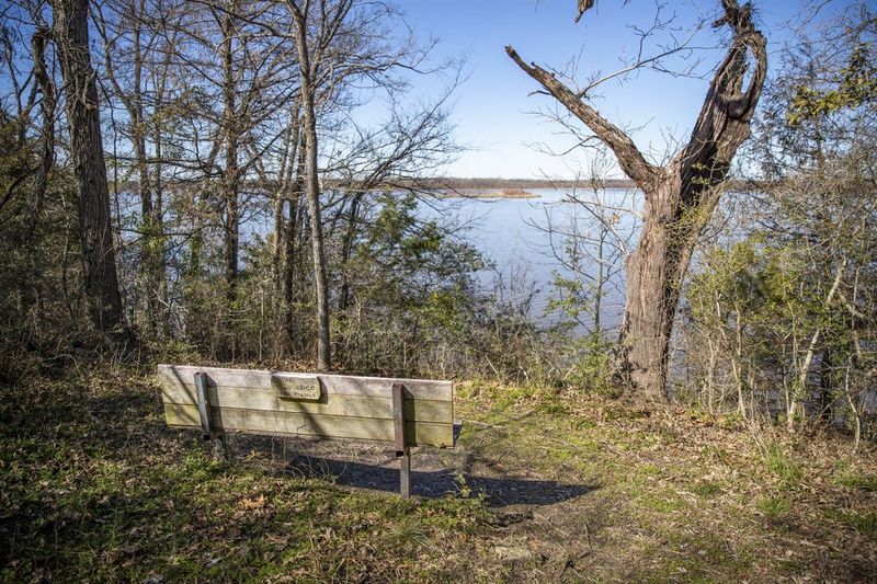 Fort Parker State Park CCC Ruins, Mexia