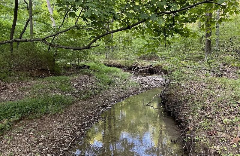 Shawnee State Forest And Park (Scioto County)