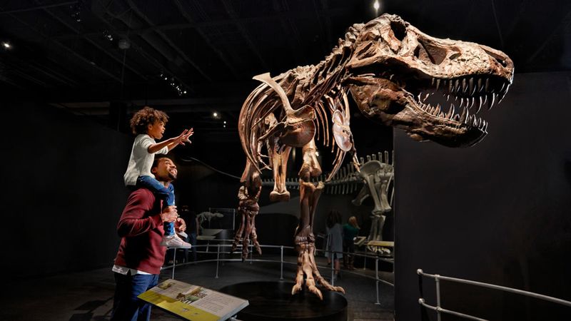 Immersive Fun at COSI (Center of Science and Industry)