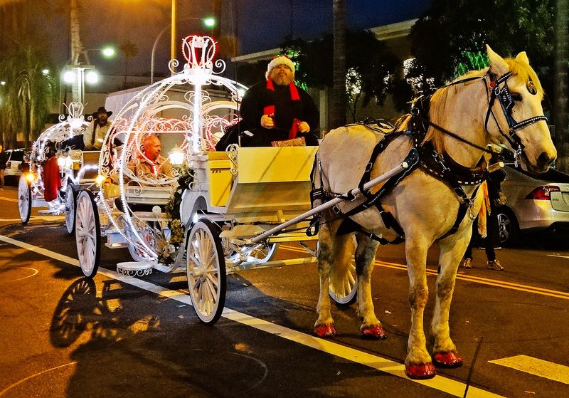 Horse-Drawn Carriage Rides Add Storybook Magic