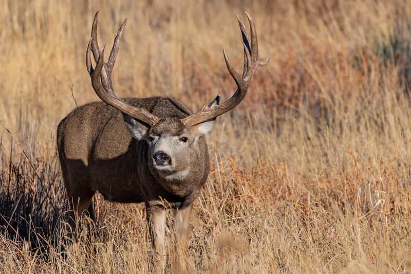 Wildlife Encounters Enhanced by Seasonal Changes