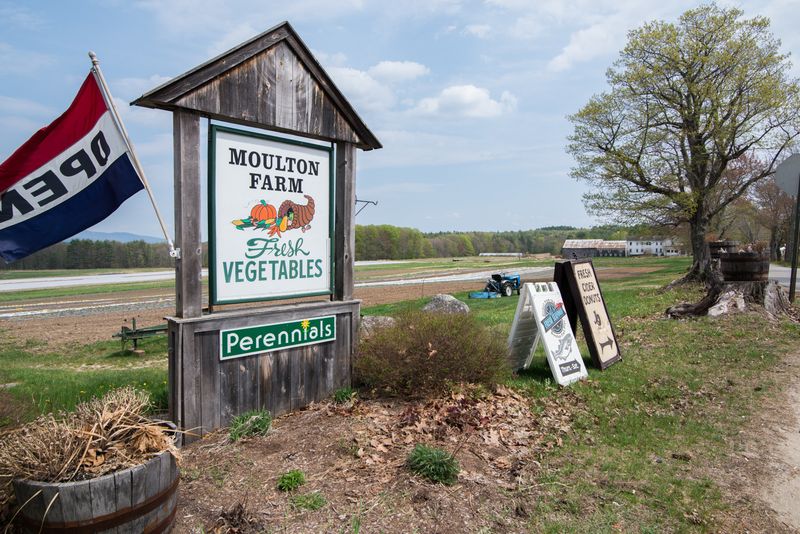 Moulton Farm, Meredith