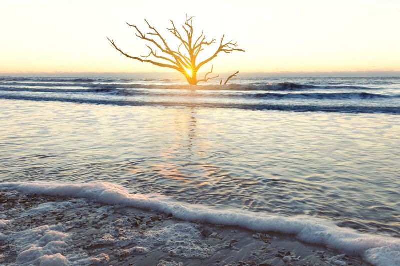Edisto Beach