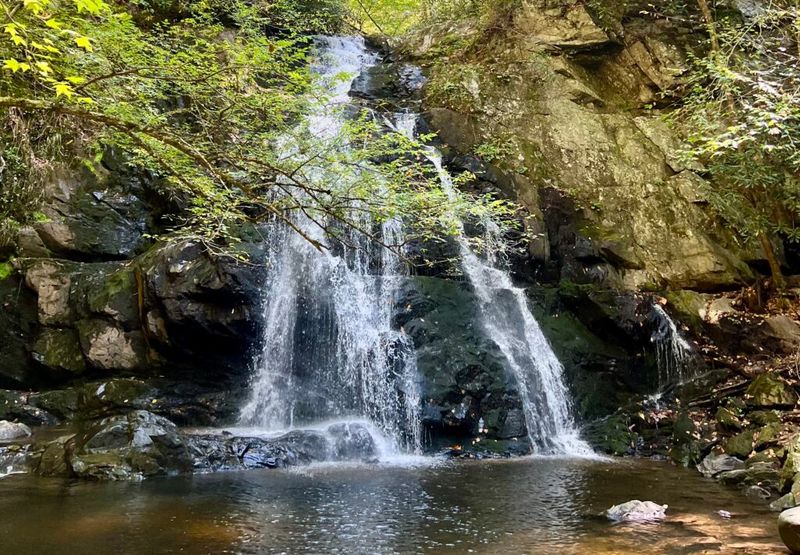 Nature Access Offers Profound Peace and Adventure