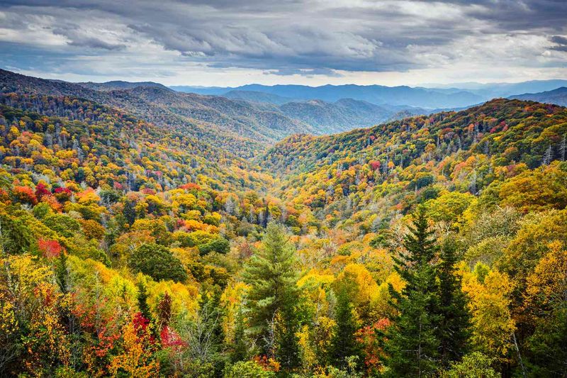Diverse Landscapes in Close Proximity