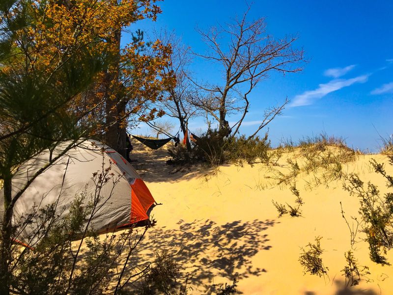 Nordhouse Dunes Wilderness Area