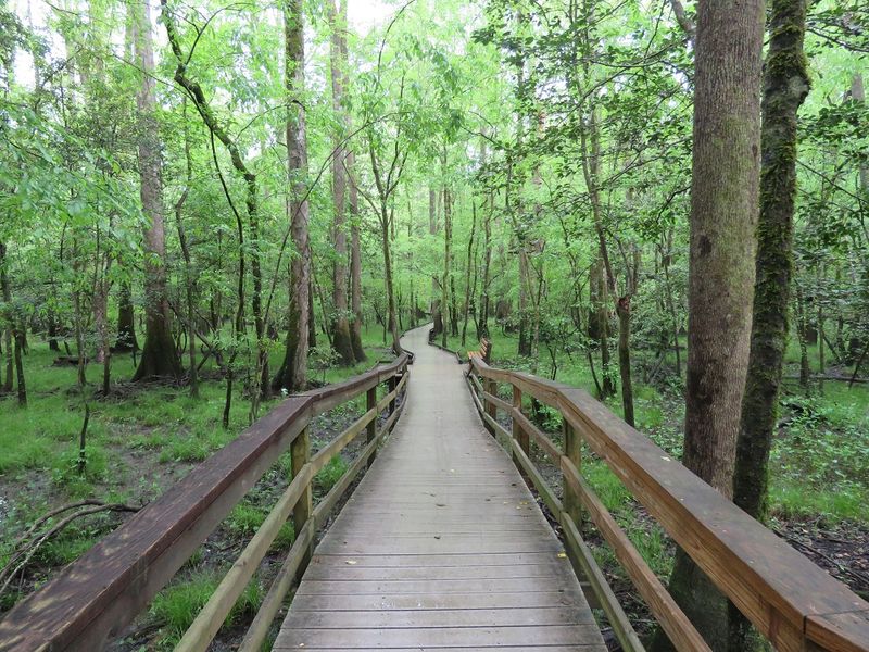 Congaree National Park