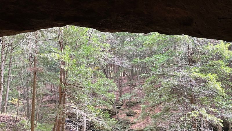 Where Fear Meets Folklore