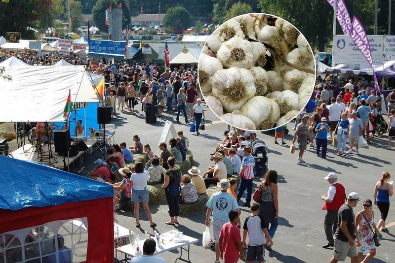 Hudson Valley Garlic Festival – Saugerties