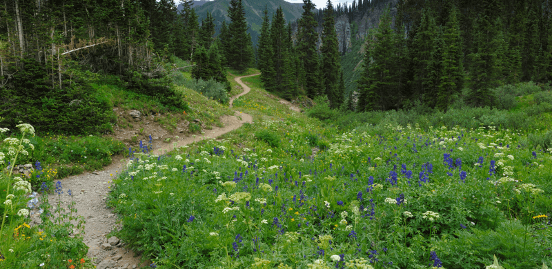 Scenic Mountain Trails for Every Pace