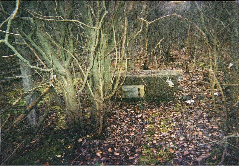 Stories That Refuse to Die