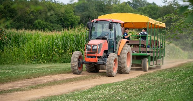 The Scenic Tractor Ride
