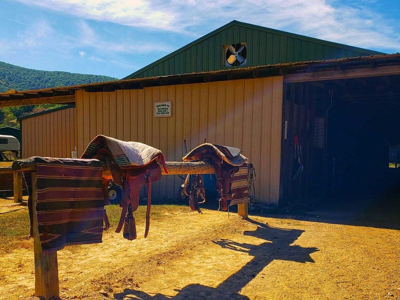 Experience a Special Fall Trail Ride and Halloween Bash