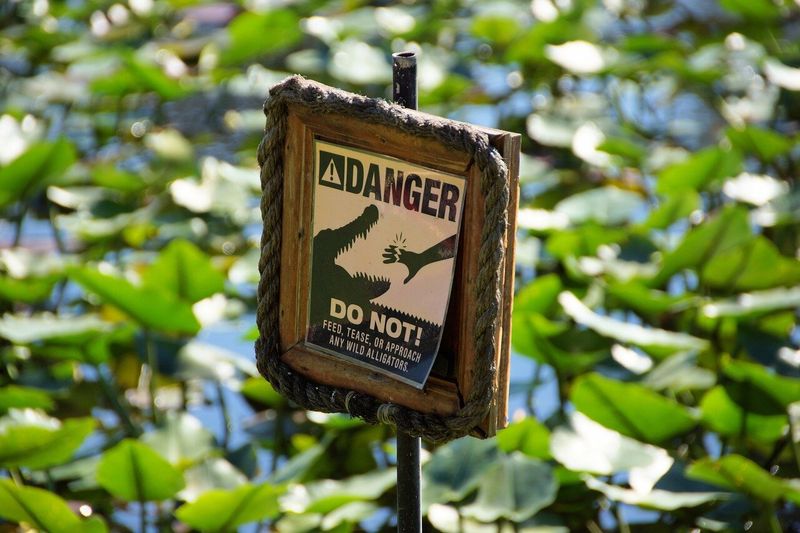 Never ignore local wildlife warnings