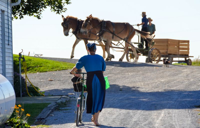 Intercourse: Amish Culture Under Pressure