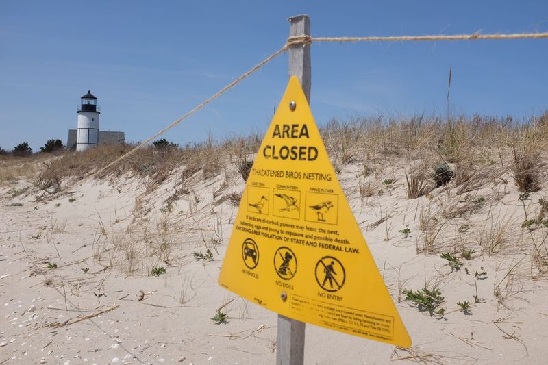 Beach Rules: Dunes and Protected Areas
