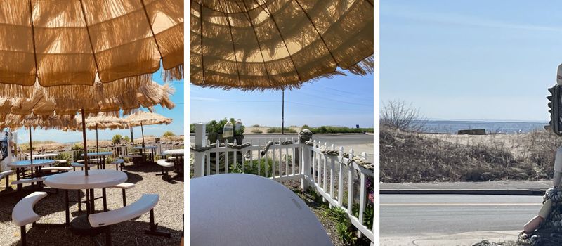 More Than Just Clams