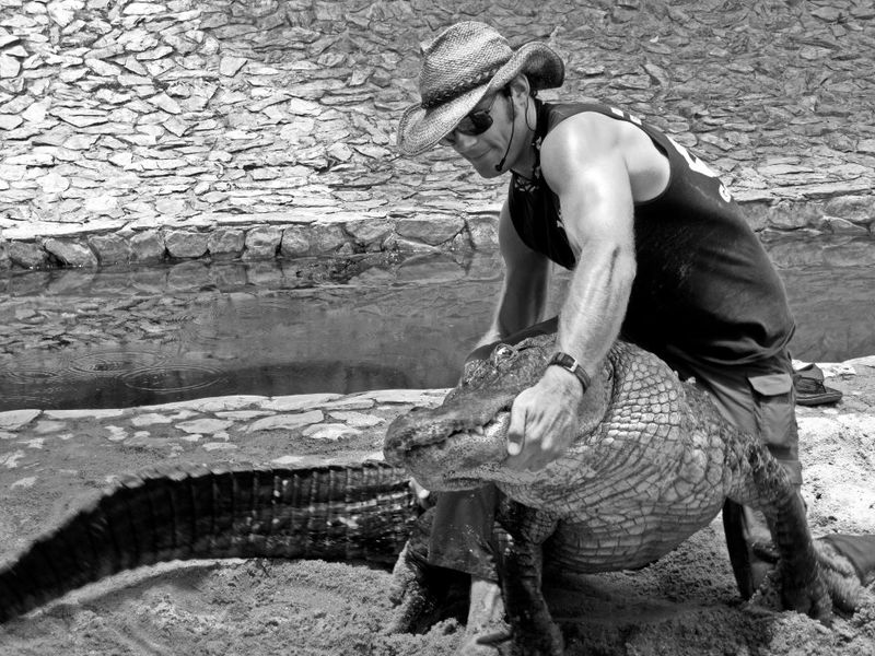 Don’t Wrestle Alligators