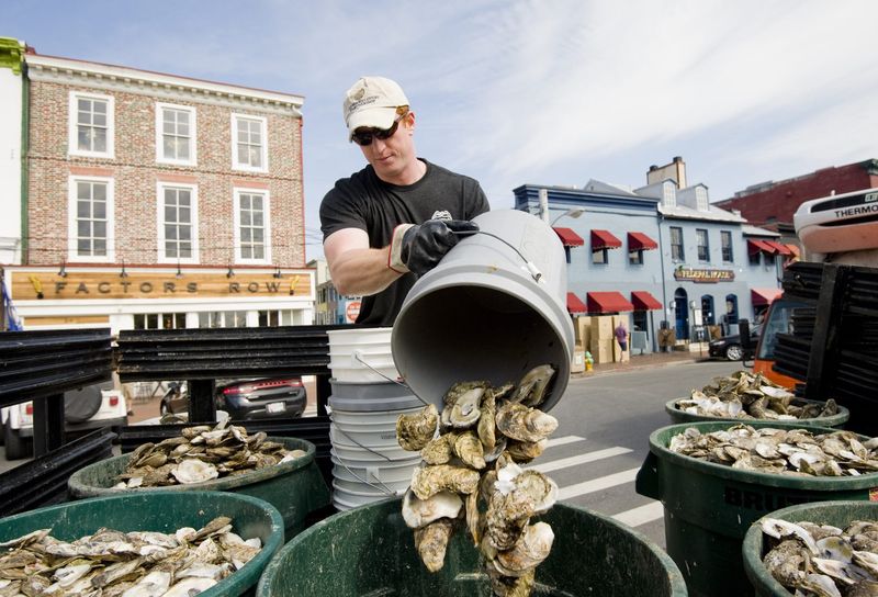 Oyster Shell Recycling Requirement