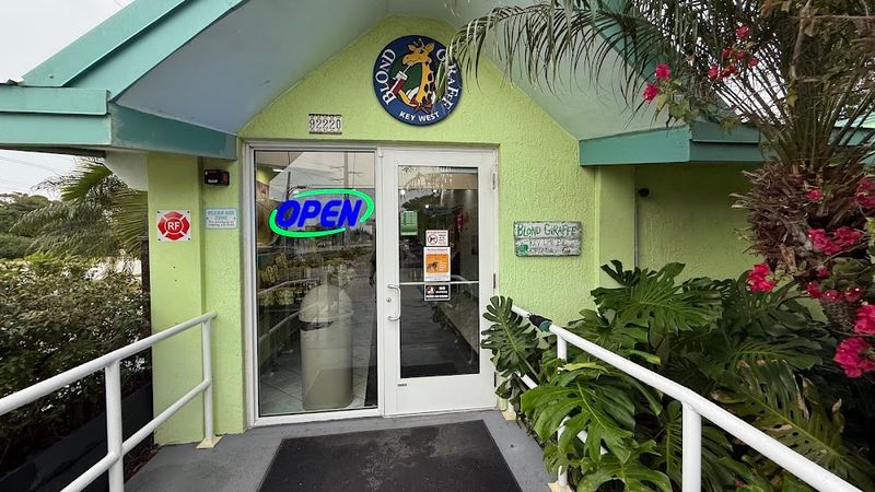 Ambience, Location, and Visitor Appeal