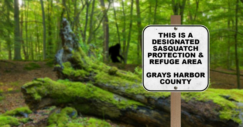 Harassing Bigfoot is illegal in some counties