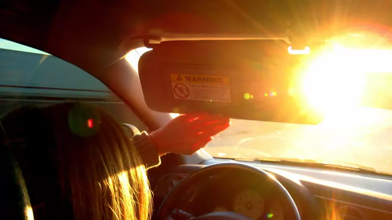 The Winter Sun Is Still Blinding