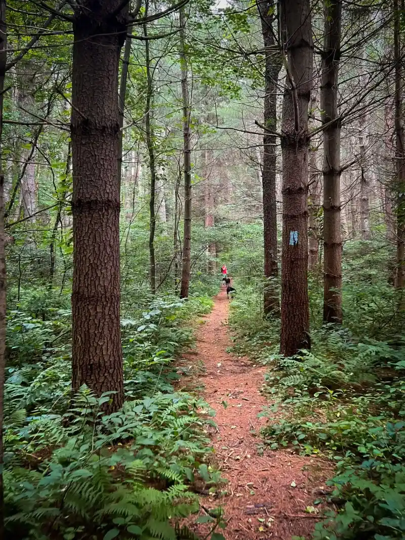 Union - Connecticut's Peaceful Frontier