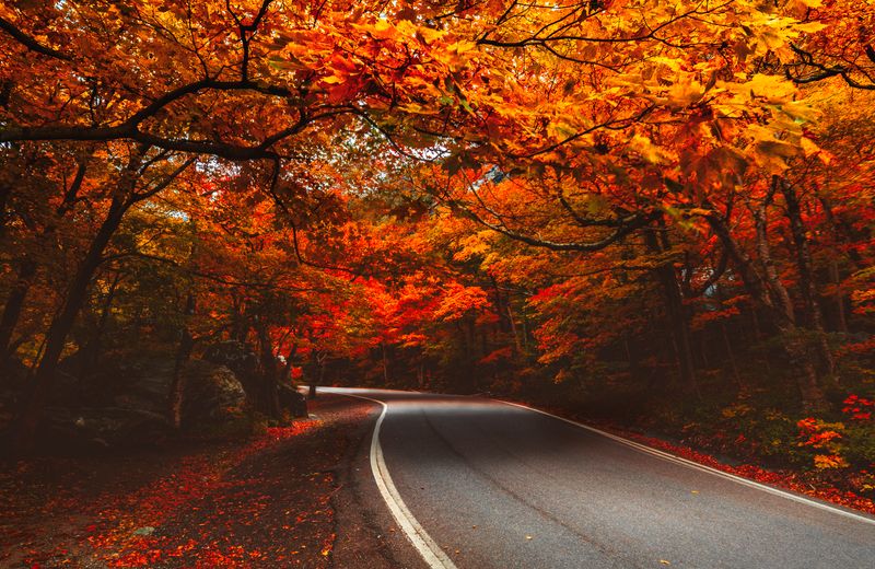 Route 7