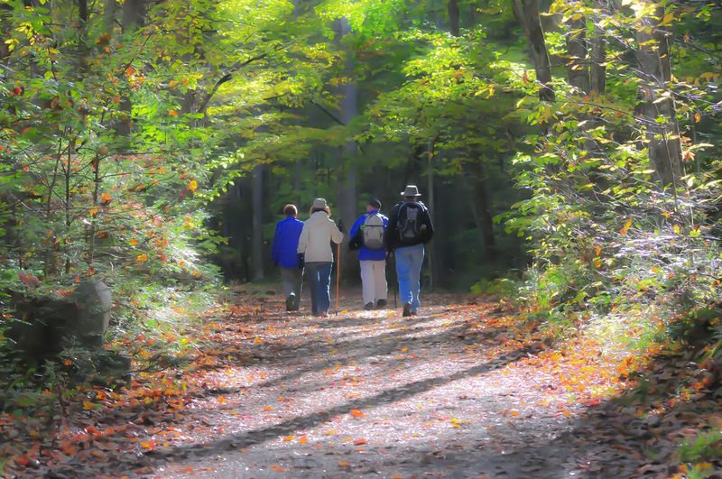 Underestimating The Difficulty Of Hiking Trails