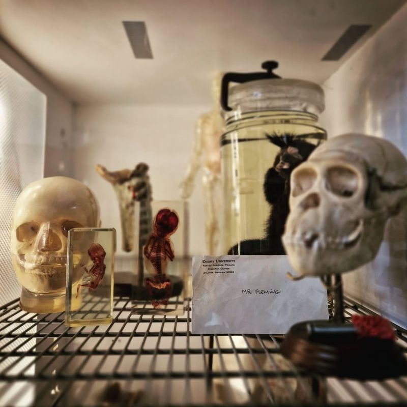 A Museum Run by True Collectors