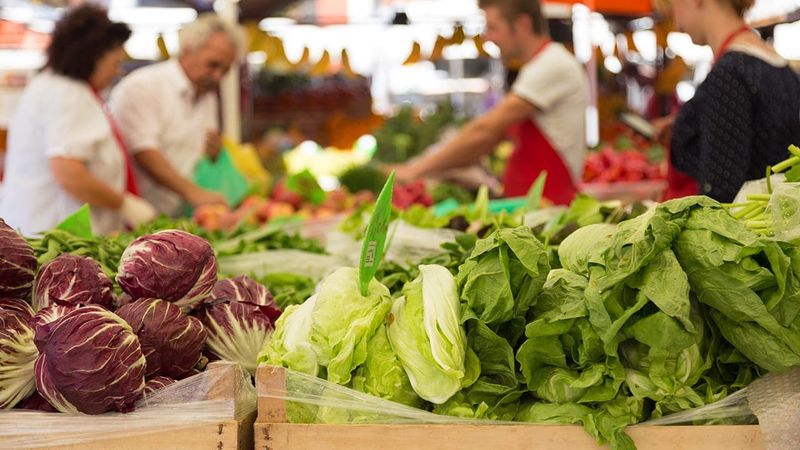 Toms River Farmers Market – Toms River