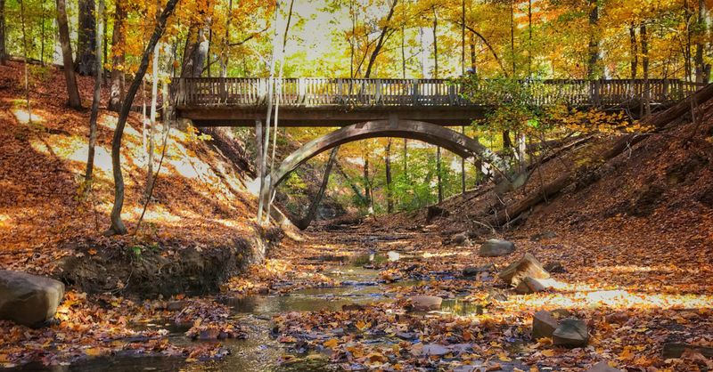 Highbanks Metro Park Forgotten Sections
