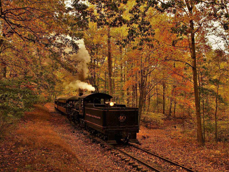 New Hope Railroad: Delaware River Valley Beauty