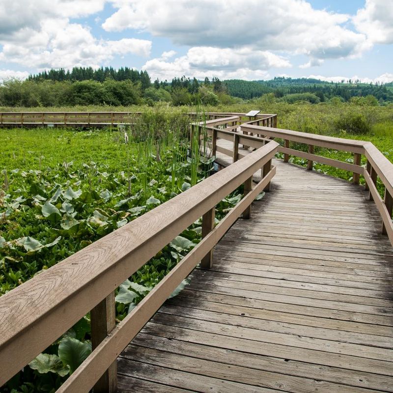Seaquest State Park and Mount St. Helens Visitor Center