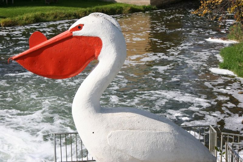 Pelican Rapids's Towering Pelican