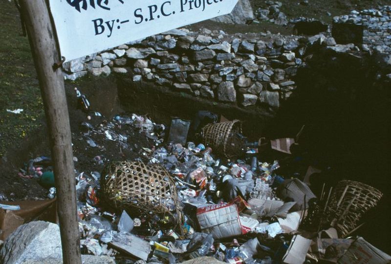The Ecological Toll