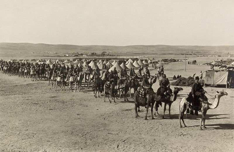 Camels Are Outlawed on Highways