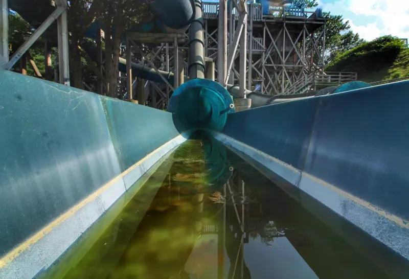 Signature Attractions