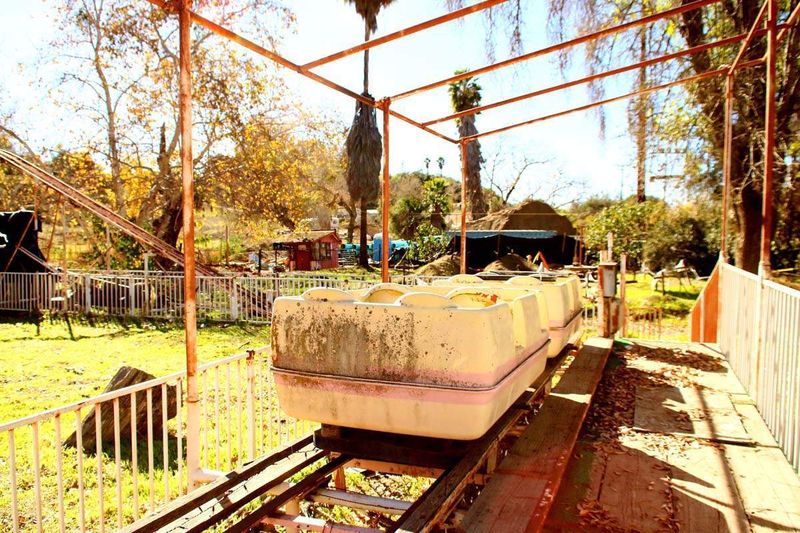 Rides while alive
