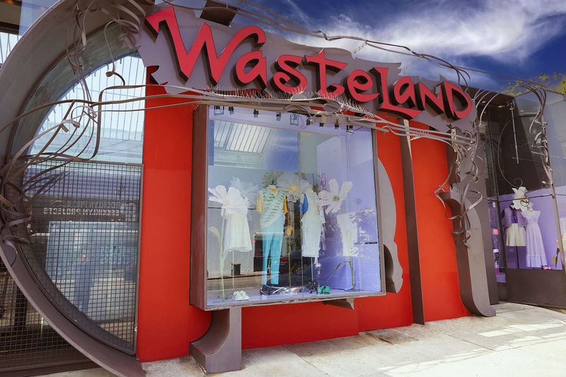 Wasteland Vintage in Los Angeles