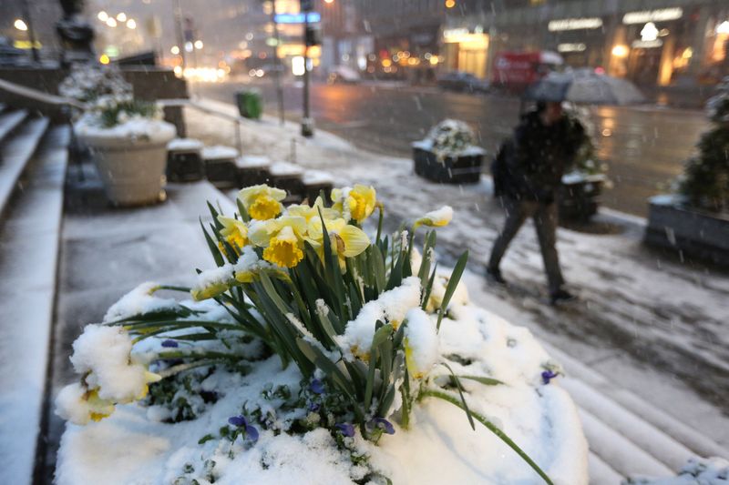 Weather Changes Dramatically Between Seasons