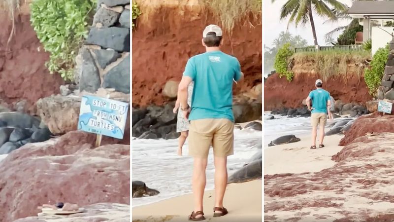 The Vacation Mindset and Distraction