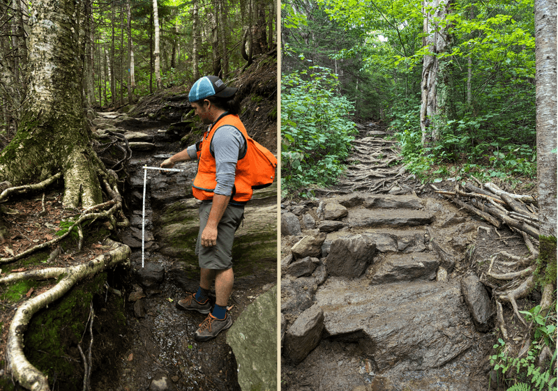 Trampled Trails And Ecosystems